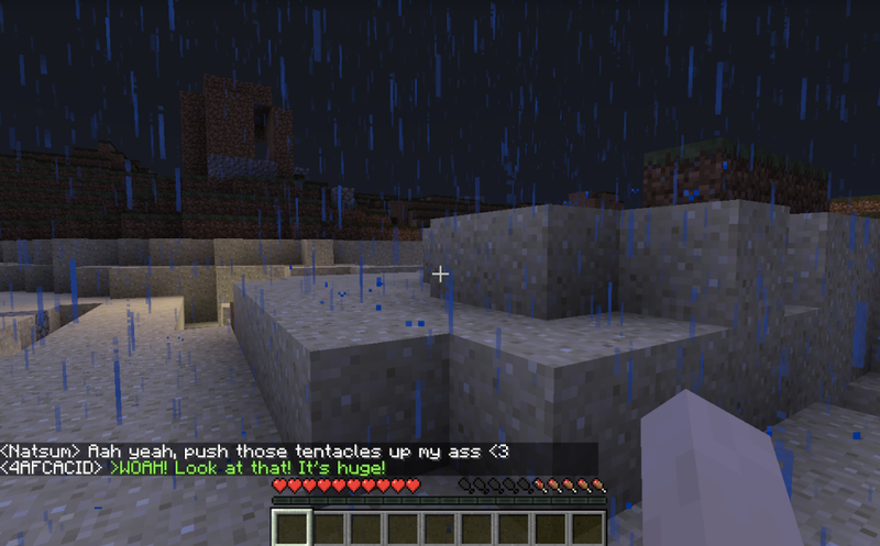 Illustration for article titled The Denizens of Minecraft's 'Worst' Server Are At War With YouTube